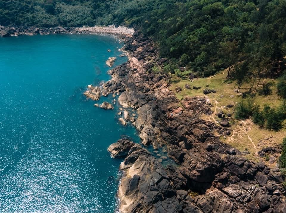 Beware: Three dangerous trekking routes to stay away on Son Tra Peninsula in Vietnam’s Da Nang - Ảnh 3.