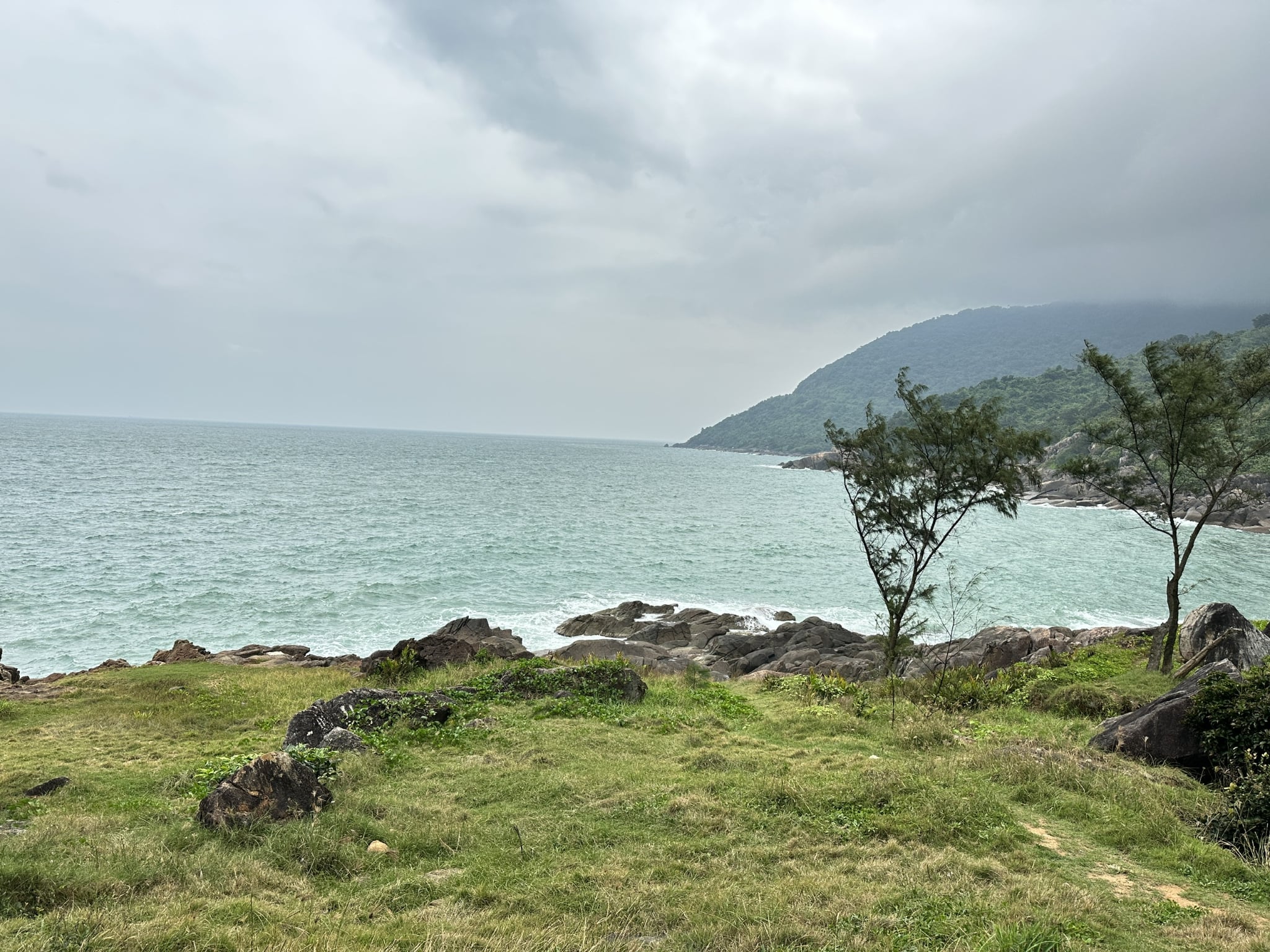 Beware: Three dangerous trekking routes to stay away on Son Tra Peninsula in Vietnam’s Da Nang - Ảnh 8.