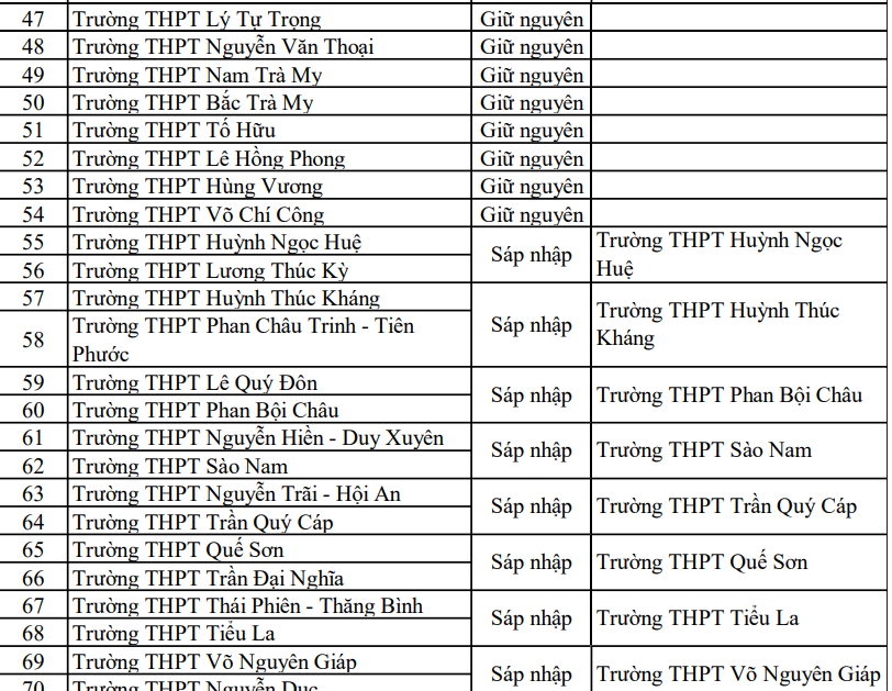 Phương án sắp xếp trường học công lập ở Đà Nẵng: Trường nào giữ nguyên, trường nào sáp nhập? - Ảnh 4.