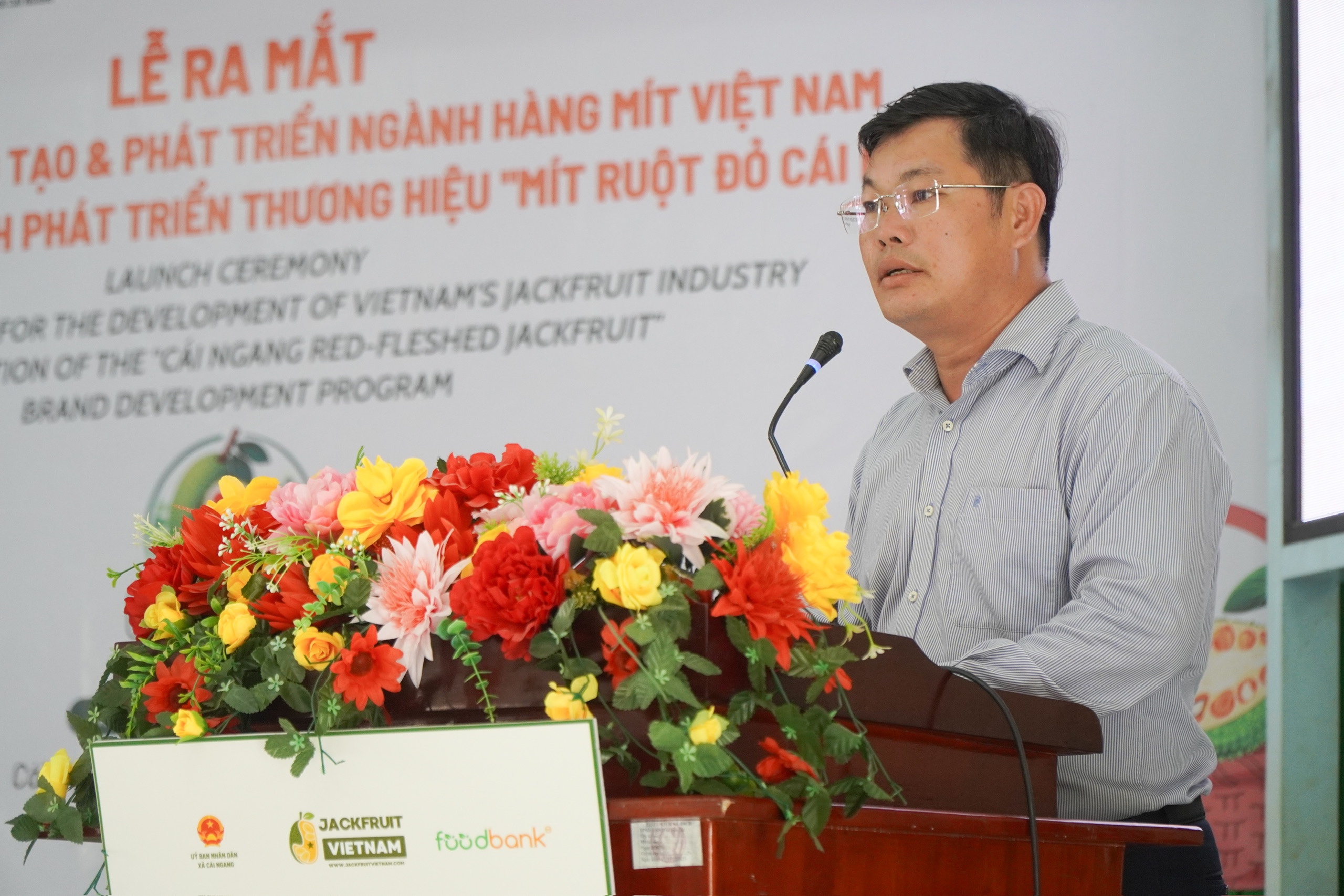 Xây dựng hệ sinh thái cho mít Việt từ 'thủ phủ' mít ruột đỏ Cái Ngang - Ảnh 3.