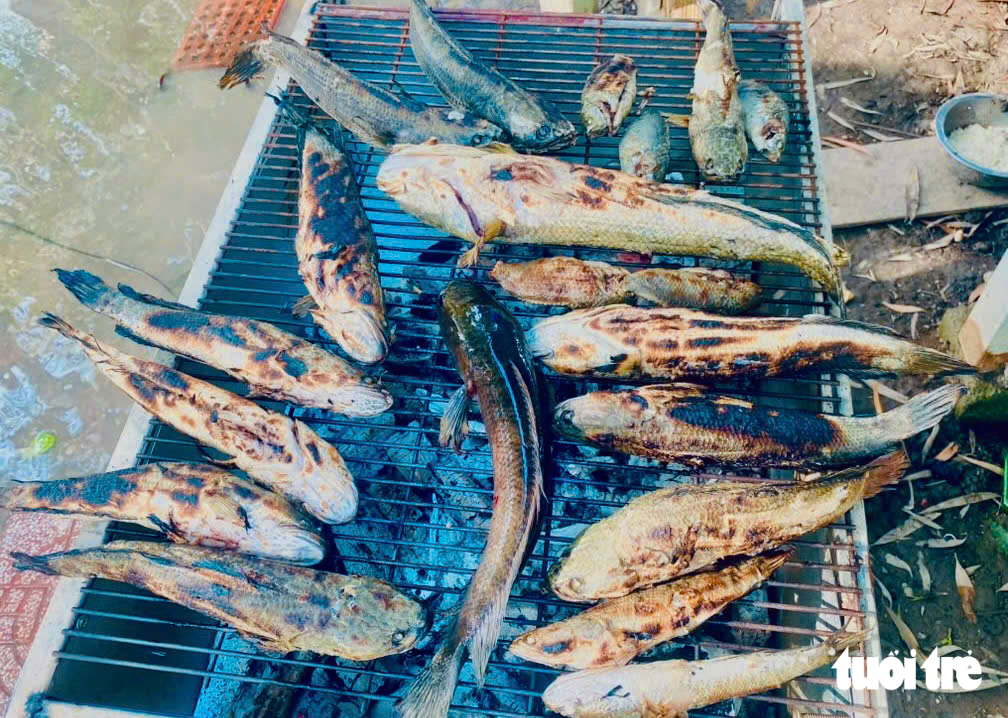 - Ảnh 2.