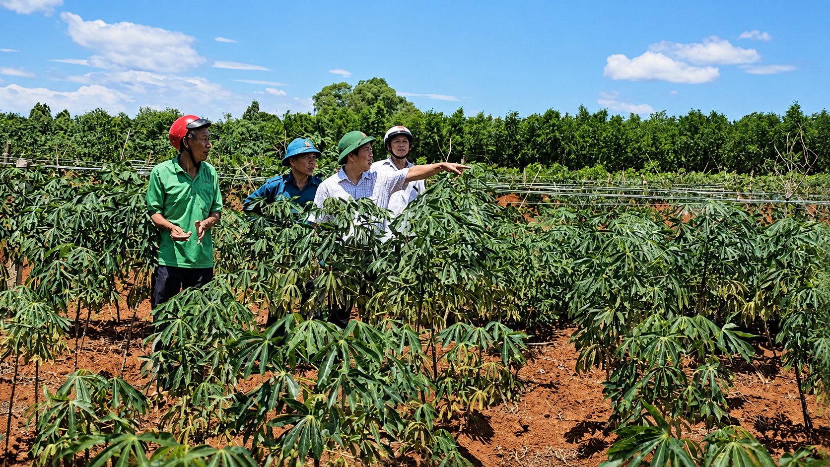 Nhân chứng kể chôn cất 11 liệt sĩ đặc công hy sinh ở Dốc Miếu, có người tên 'NGUYỄN KIẾN' - Ảnh 3.