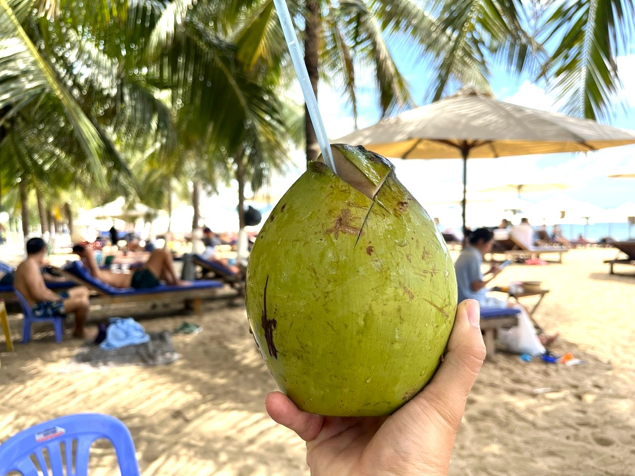 Thuê bãi biển Nha Trang đặt ghế, dù cho du khách - Ảnh 2.