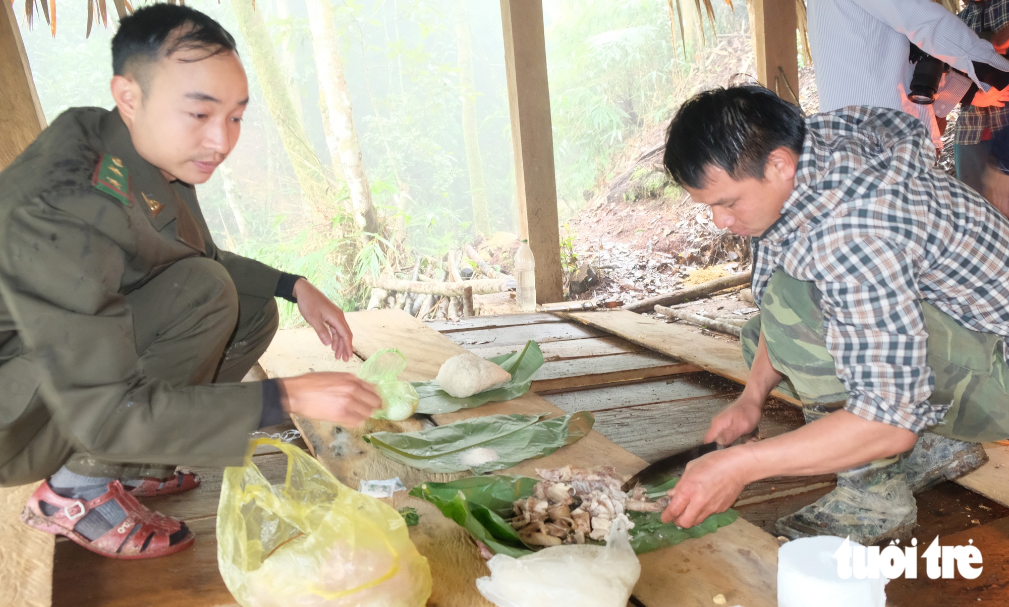 Dưới tán rừng lặng lẽ - Ảnh 13.