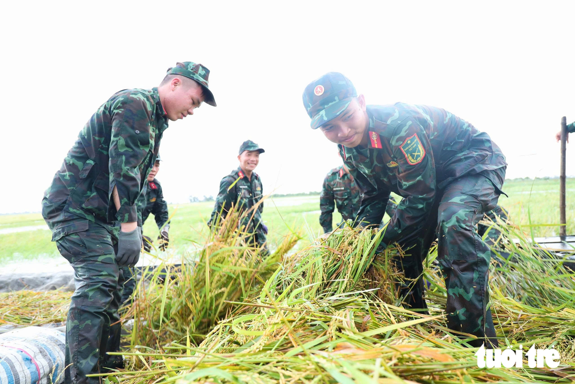 Nước đã nổi ở Đồng Tháp Mười Tây Ninh, thấp sâu so với năm 2025 - Ảnh 8.