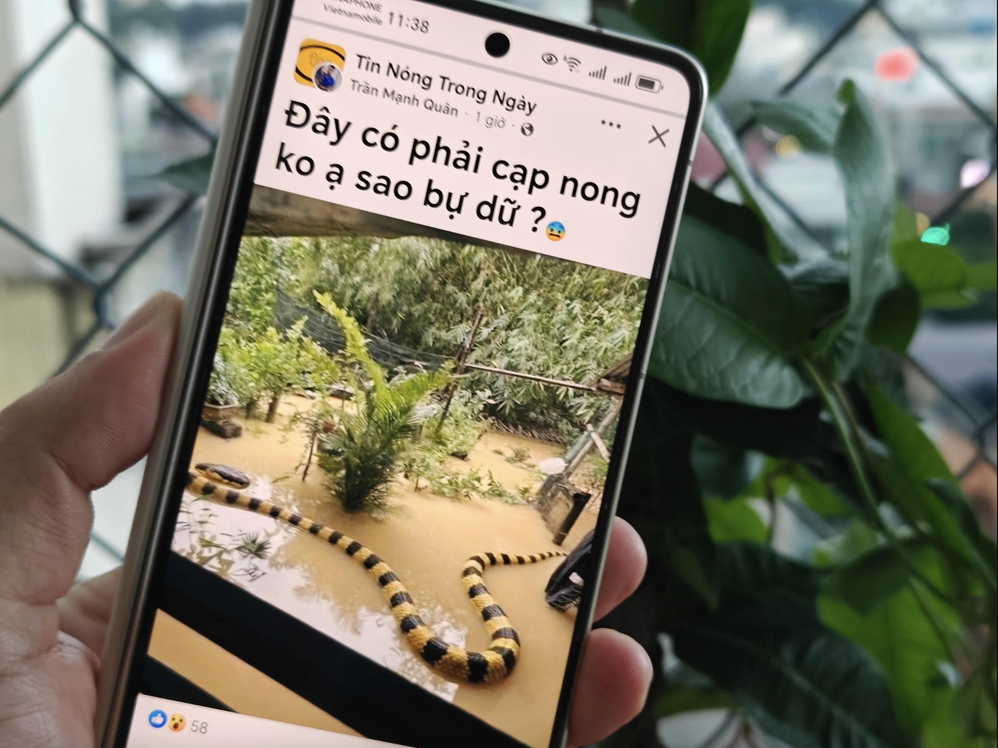 Hệ lụy từ video ngắn: Dựng 'hàng rào' đề kháng và chậm lại 3 giây quý giá - Ảnh 1.