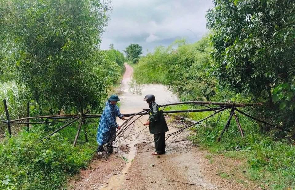 Mưa lớn ngập cầu chia cắt nhiều bản làng Nghệ An, trâu chết, cây đổ - Ảnh 9.