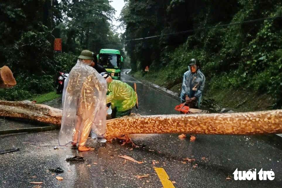 Mưa lớn ngập cầu chia cắt nhiều bản làng Nghệ An, trâu chết, cây đổ - Ảnh 5.