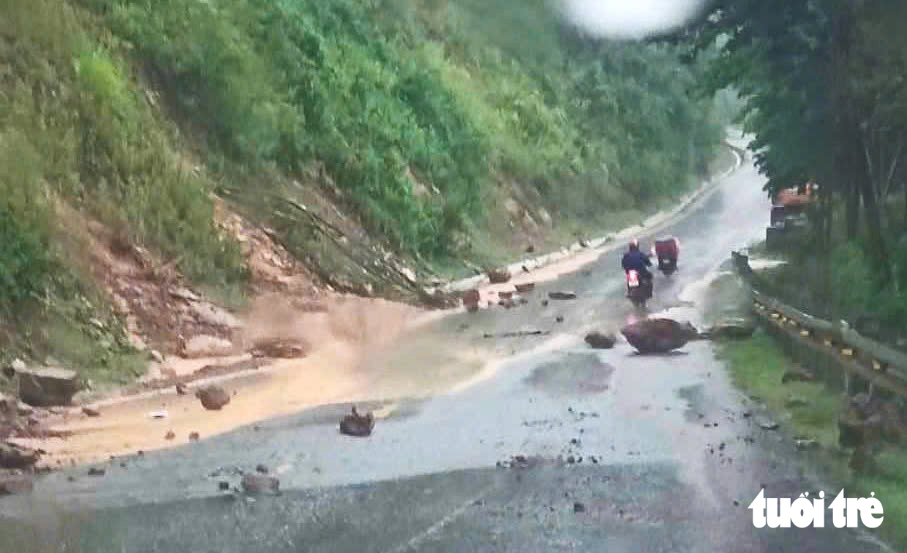 Mưa lớn ngập cầu chia cắt nhiều bản làng Nghệ An, trâu chết, cây đổ - Ảnh 7.