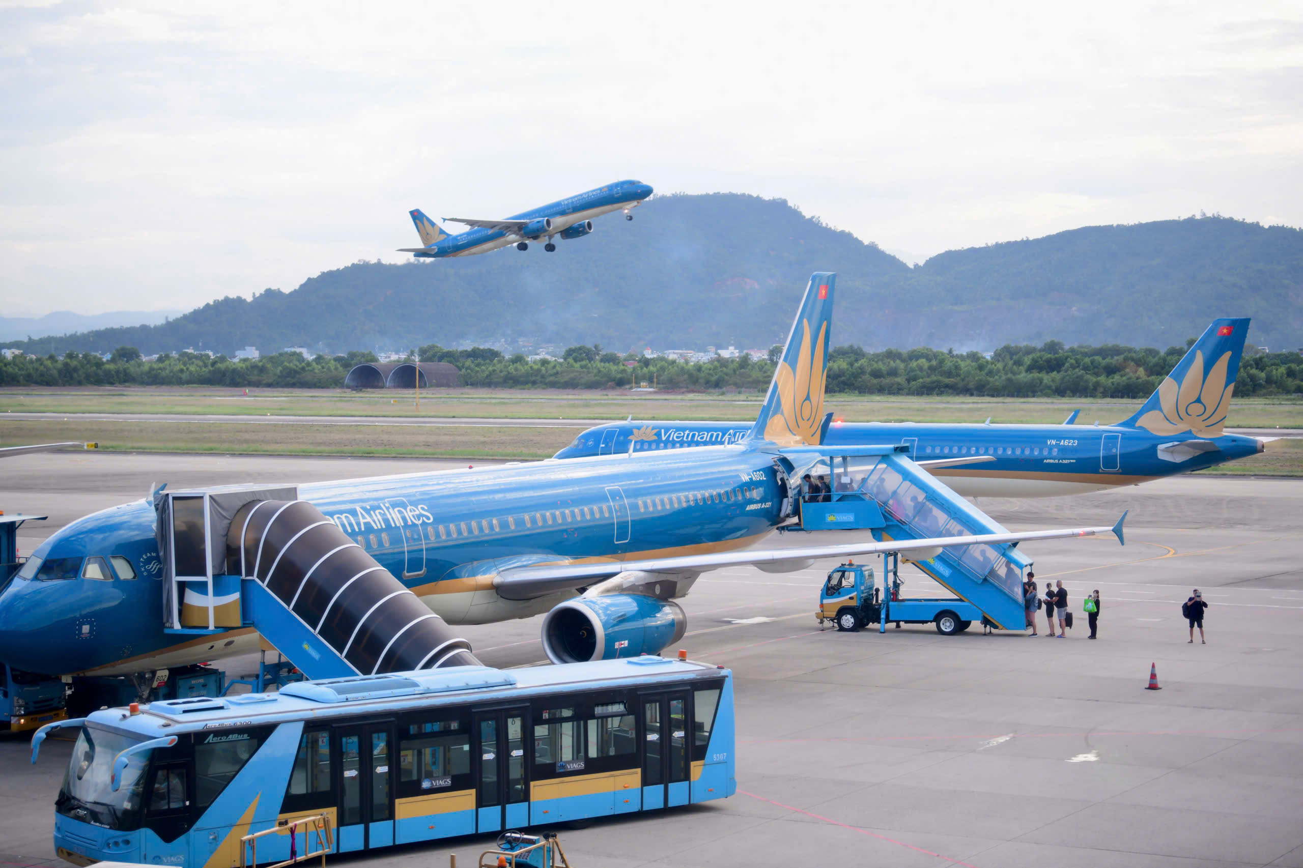 Vietnam Airlines bán vé máy bay Tết 2027 với mức tăng 11 % - Ảnh 1.