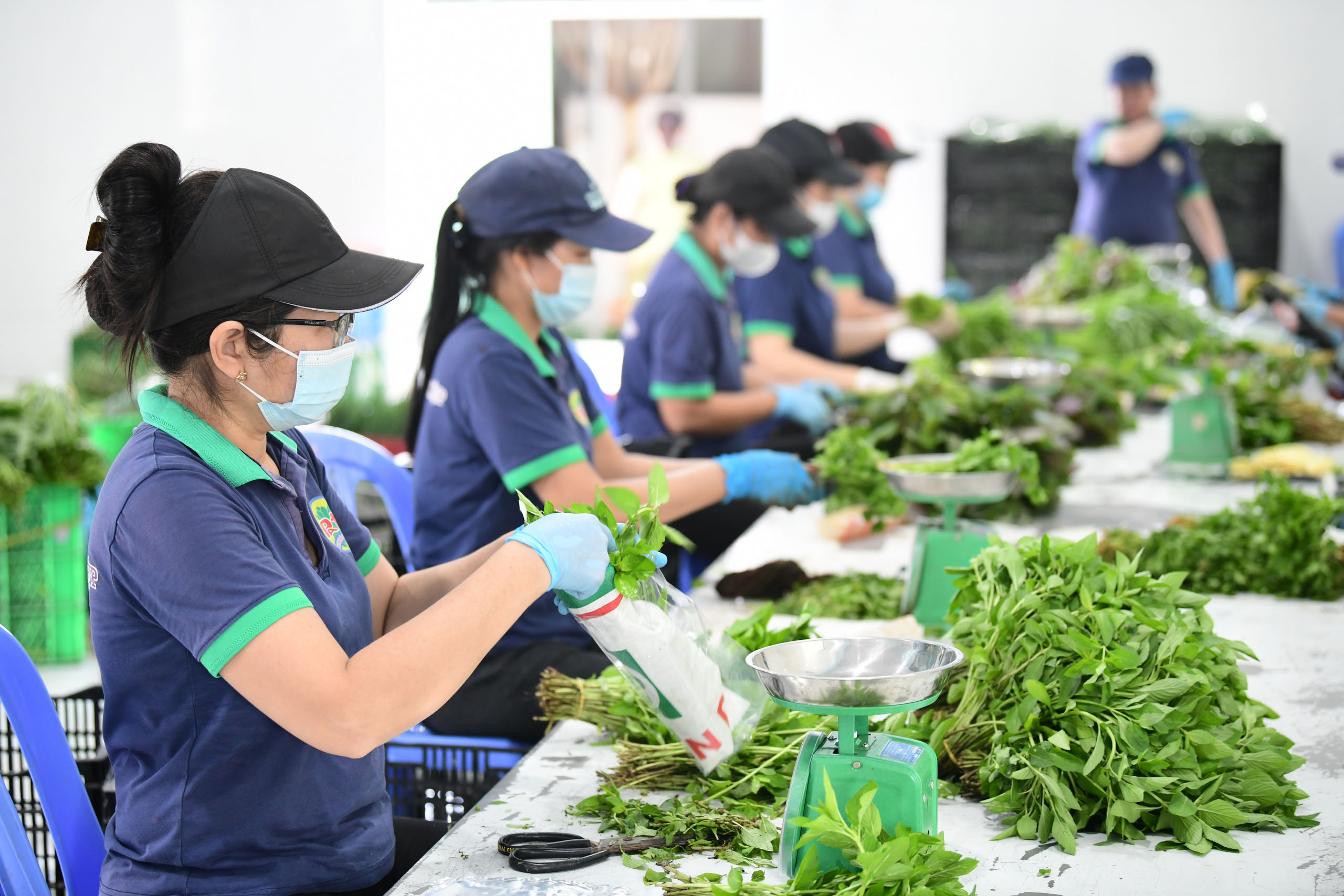 Xây dựng cán bộ quản trị và doanh nhân hợp tác xã thế hệ mới có tâm, có tầm - Ảnh 3.
