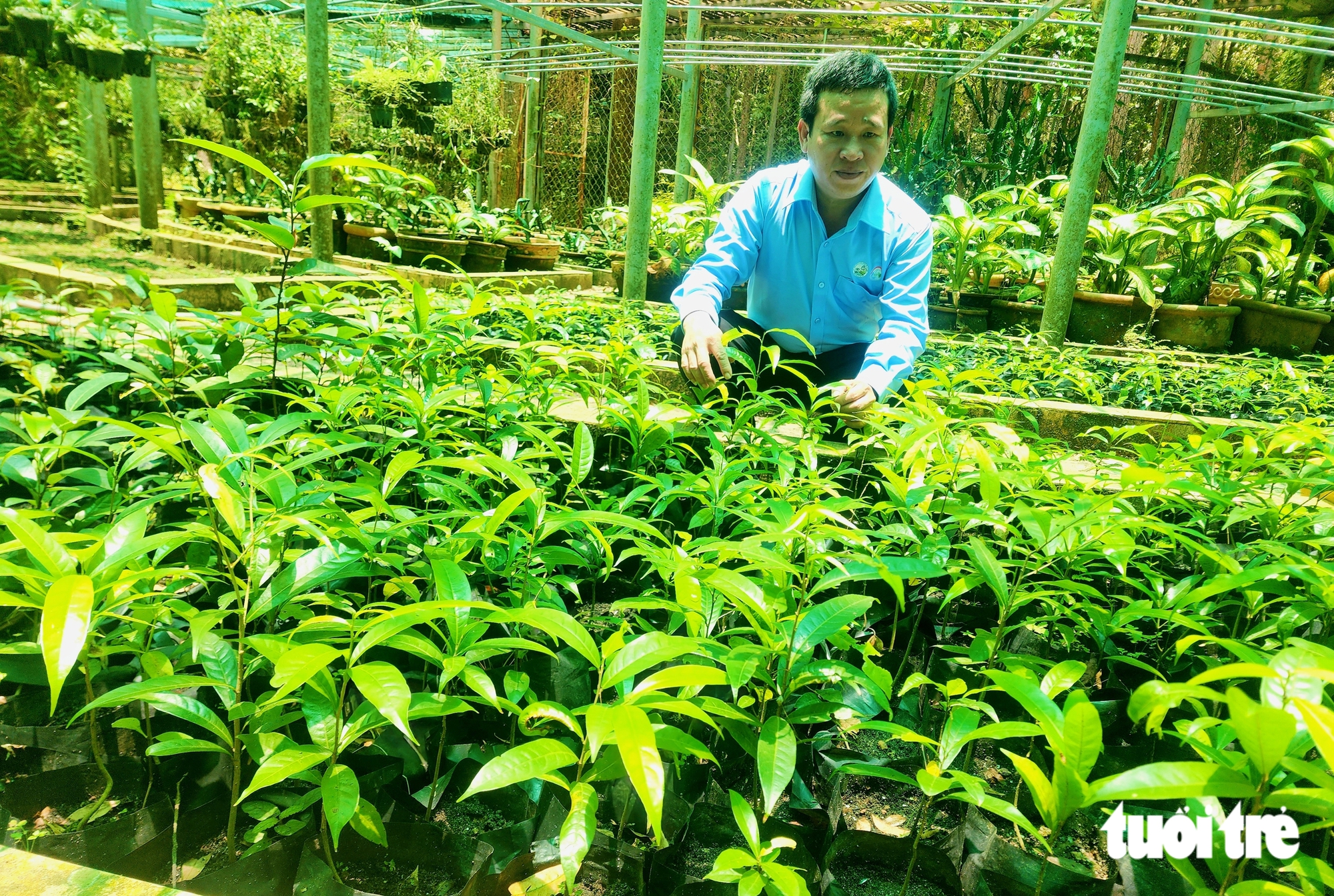 探訪胡志明市40公頃植物園，保存600多種植物，其中40種珍稀