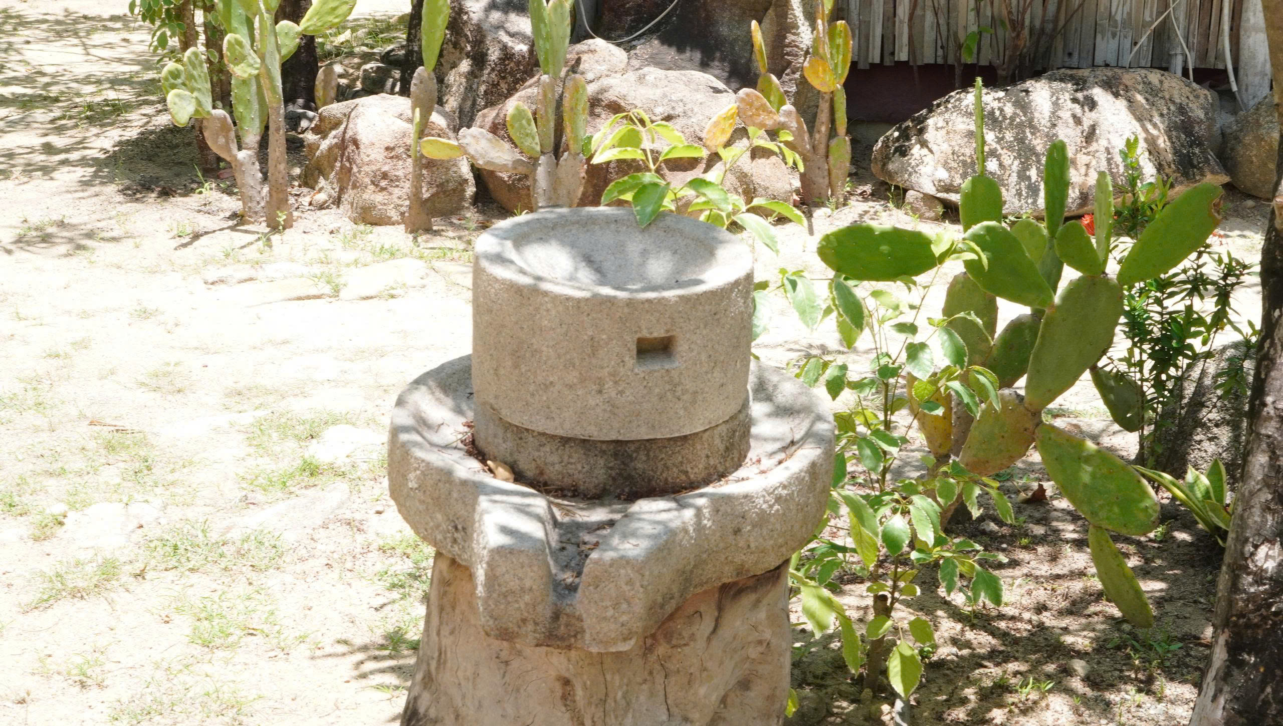 Làng chài ven biển biến cái khó thành 'mỏ vàng' du lịch - Ảnh 6.