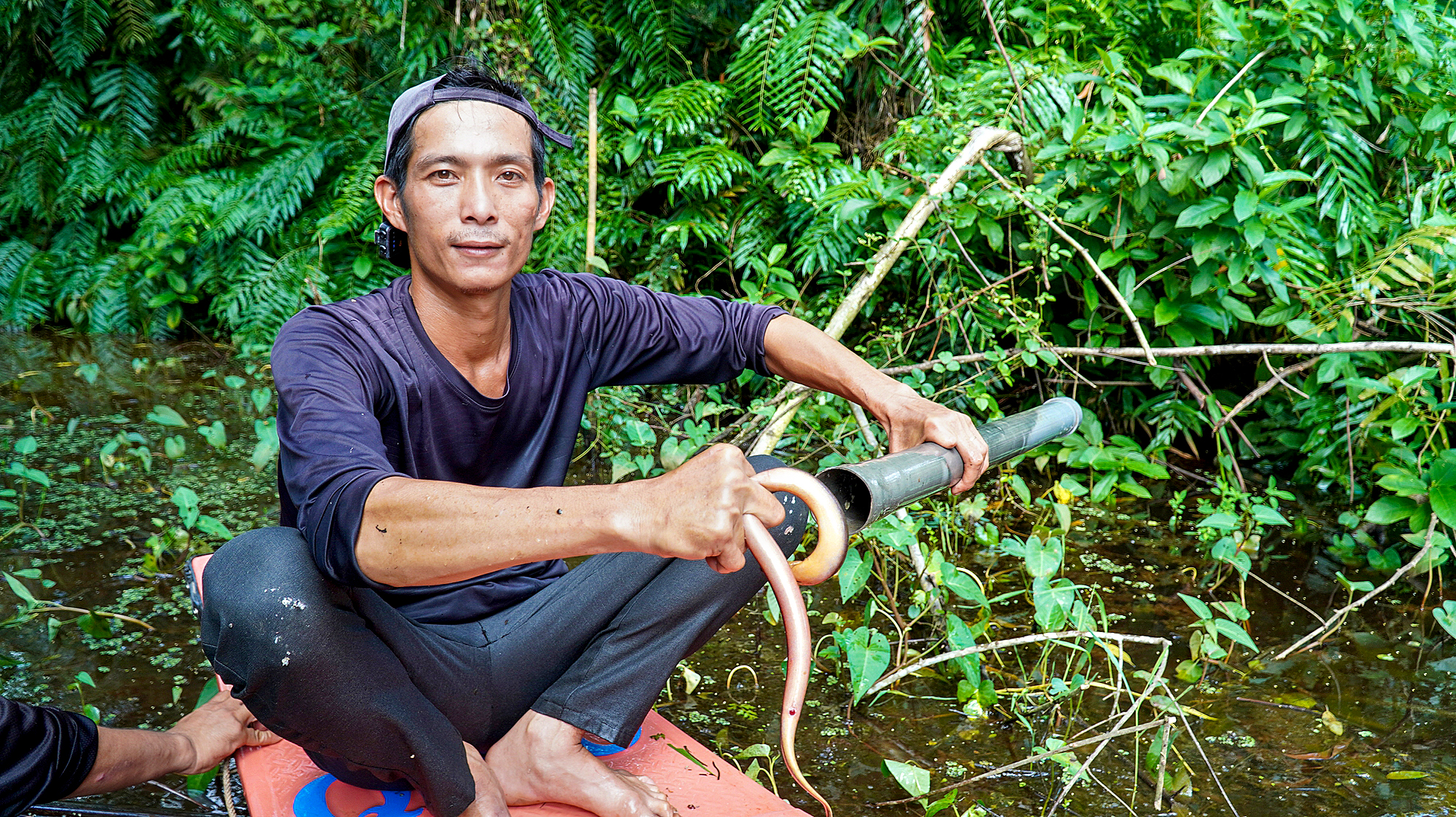 Theo chân thợ rừng U Minh bắt lươn kiếm tiền triệu - Ảnh 1.