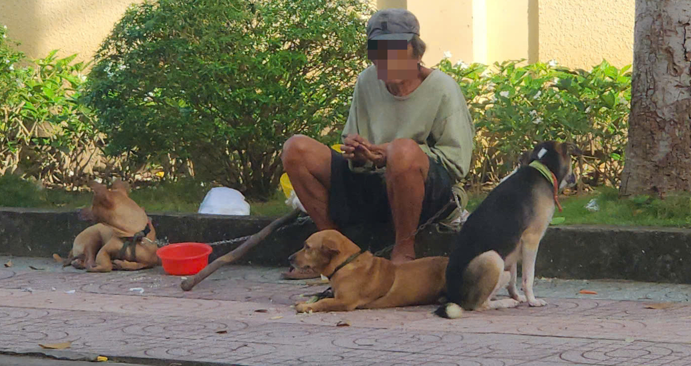 Bé gái 4 tuổi tại Đồng Tháp tủ vong do bệnh dại sau gần 7 tuần bị thương nghi do chó cắn - Ảnh 1.