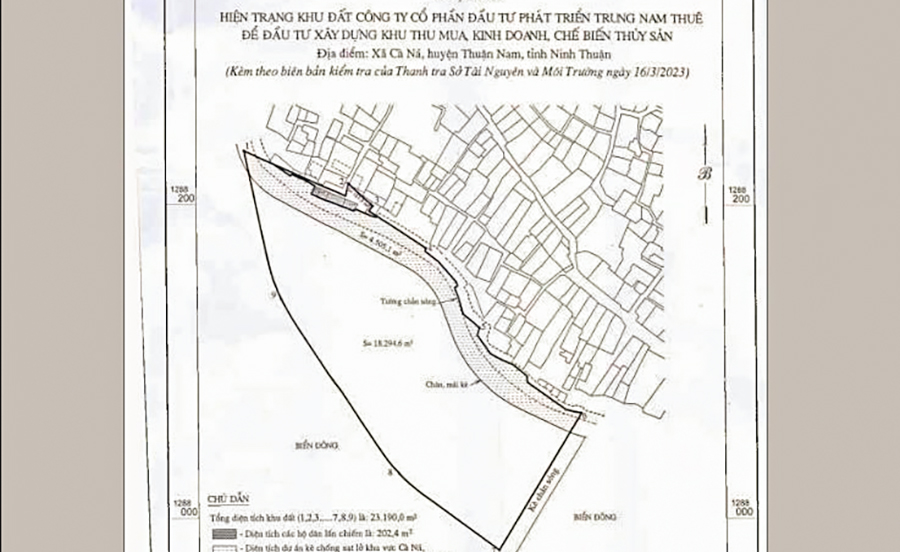 Thu hồi hơn 23.000 m2 đất dự án hơn 10 năm chưa thực hiện ở Cà Ná - Ảnh 1.