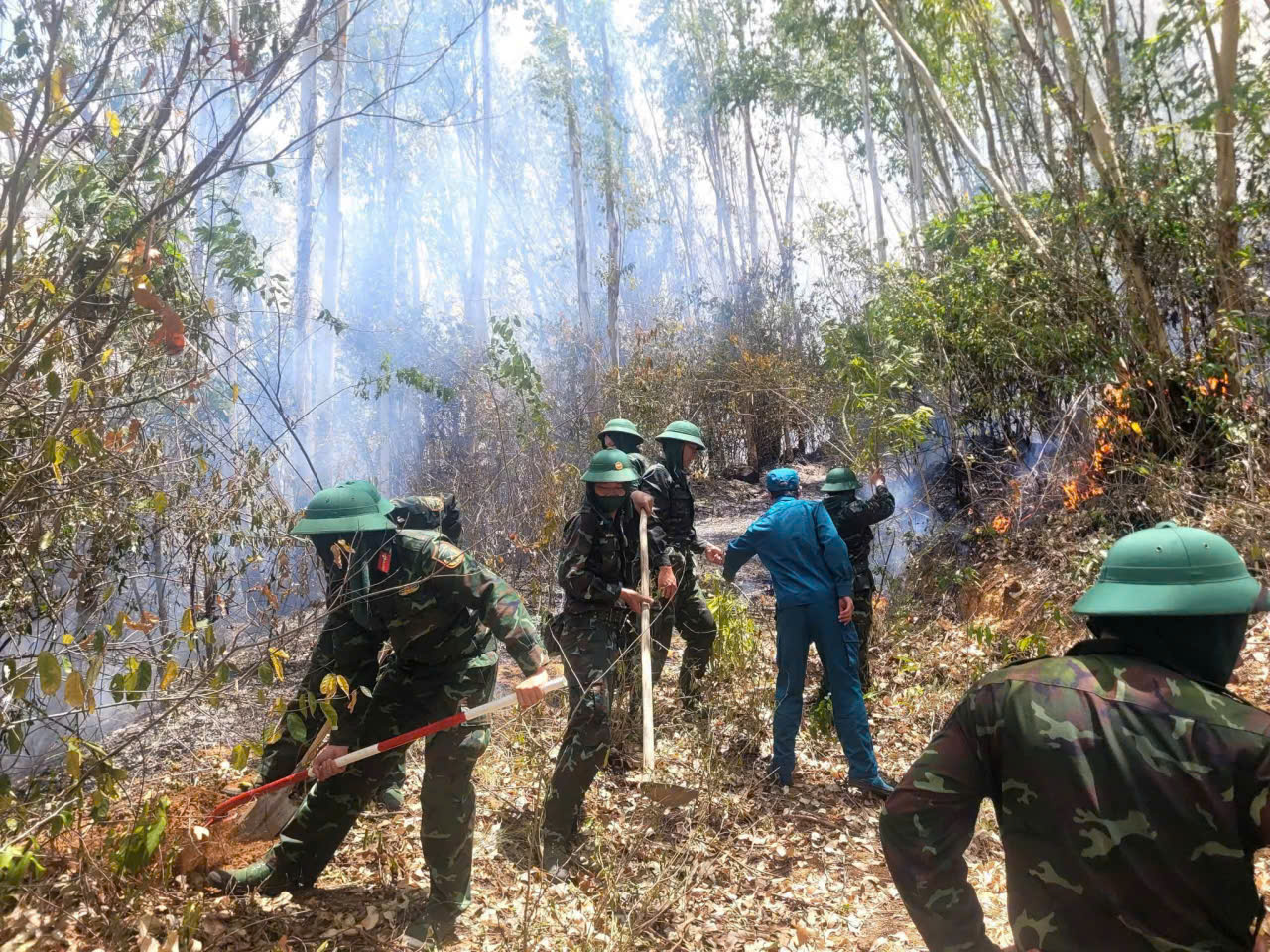 Cháy rừng cạnh đô thị Quy Nhơn, huy động 250 người dập lửa - Ảnh 2.