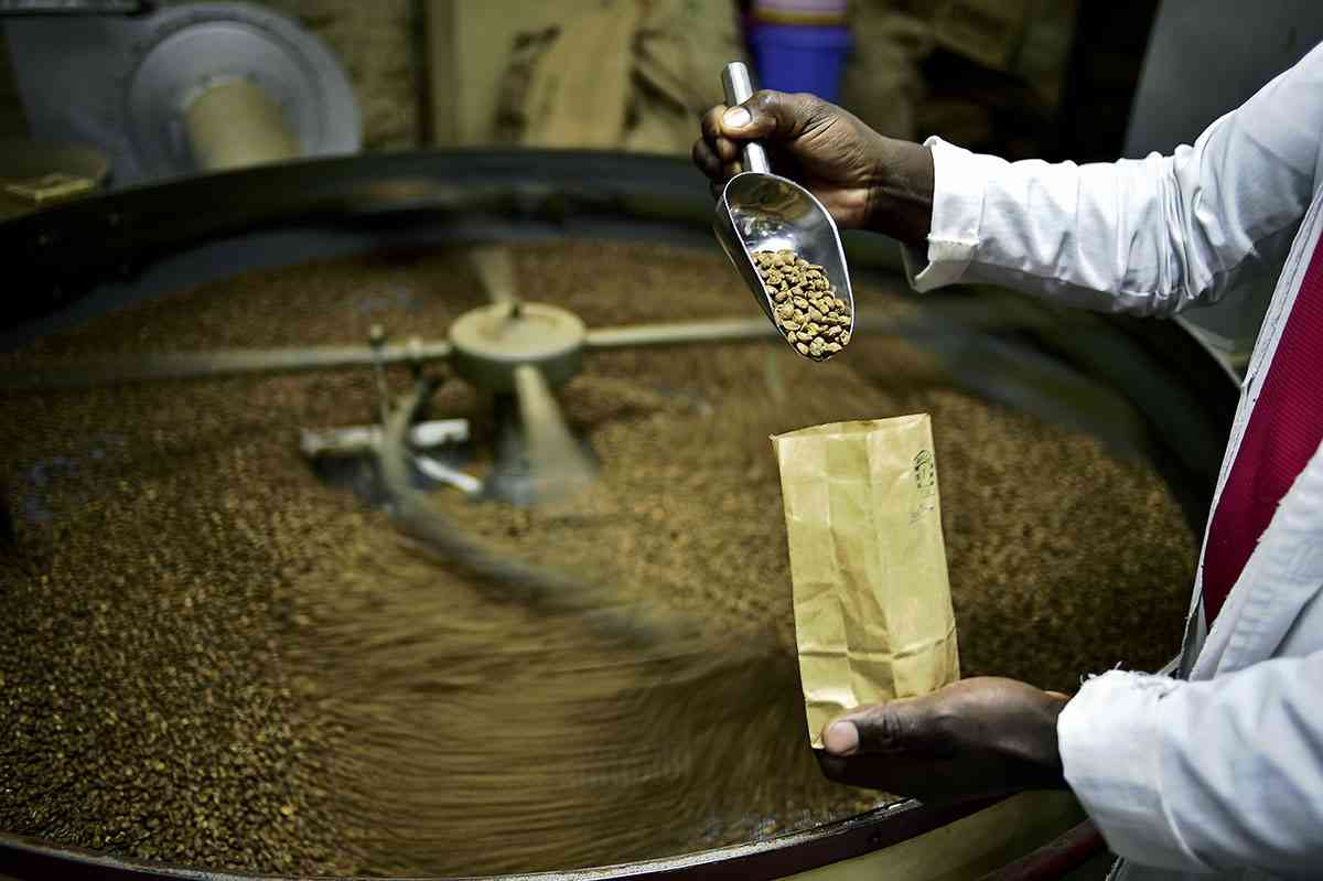 Lối đi riêng của Robusta Ấn Độ - Ảnh 1.