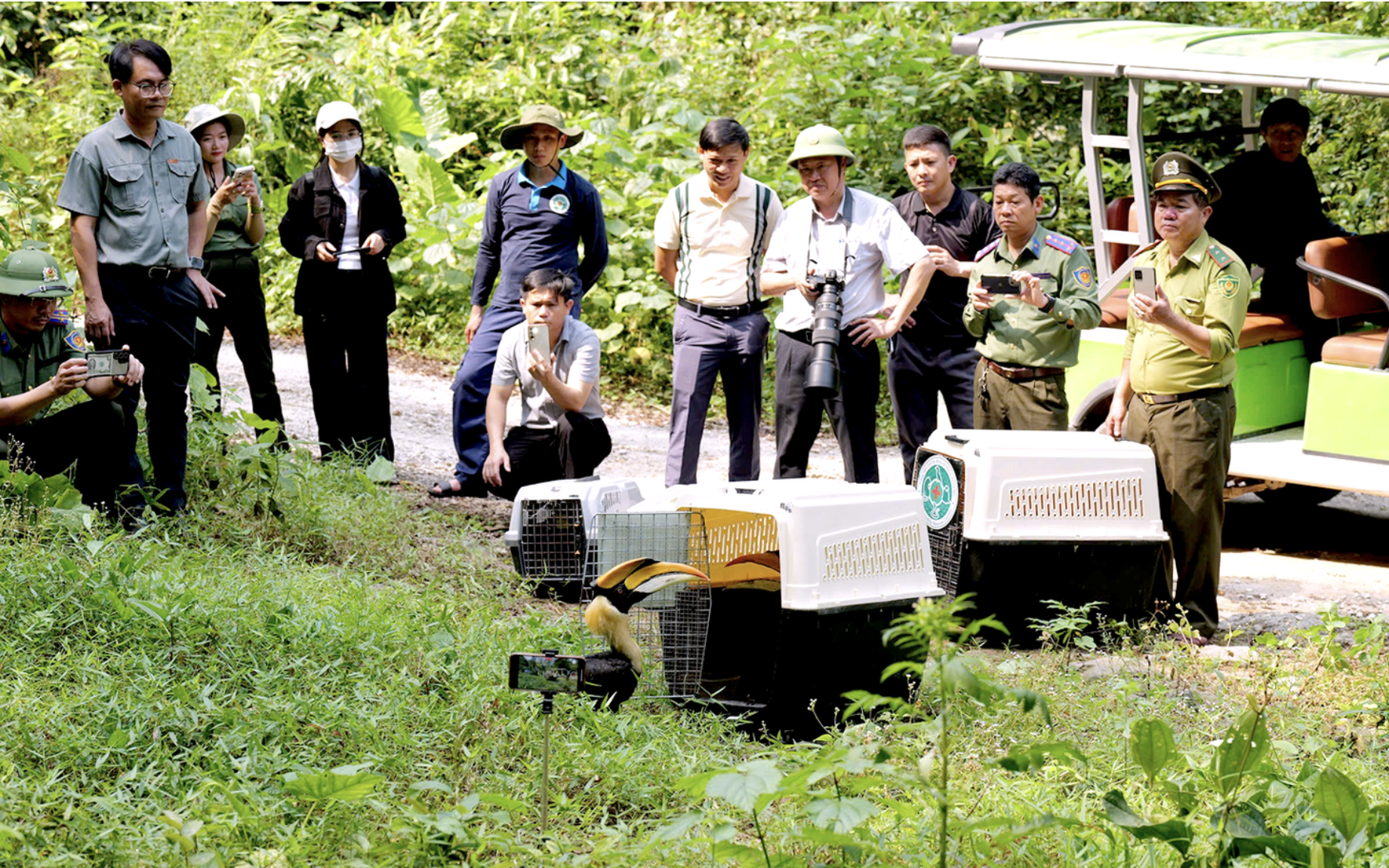 Vietnam’s Phong Nha-Ke Bang named Asia’s leading national park 2026- Ảnh 3.