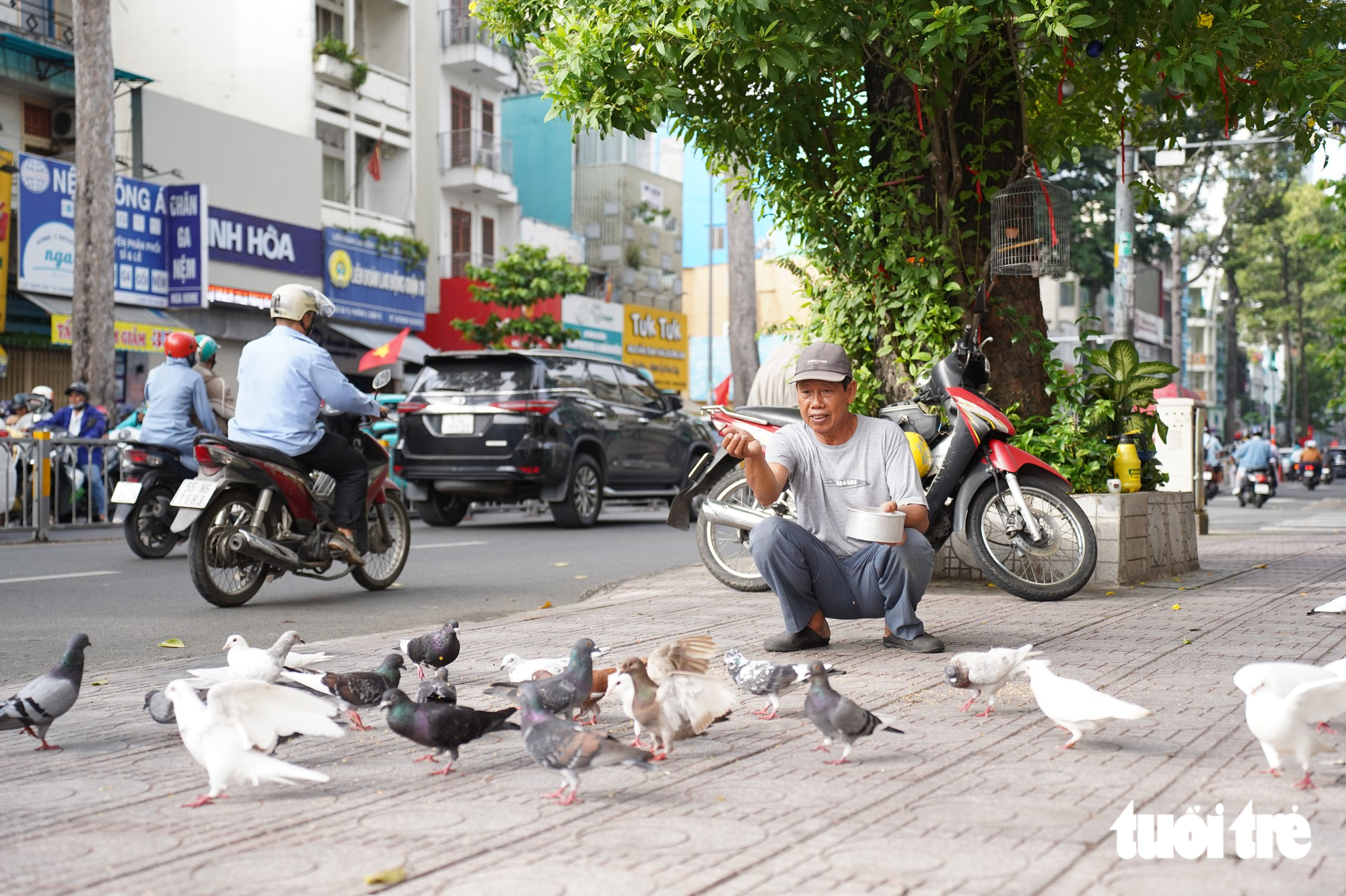 Người cựu binh hơn 30 năm ‘đãi tiệc’ đàn bồ câu giữa lòng TP.HCM - Ảnh 1.