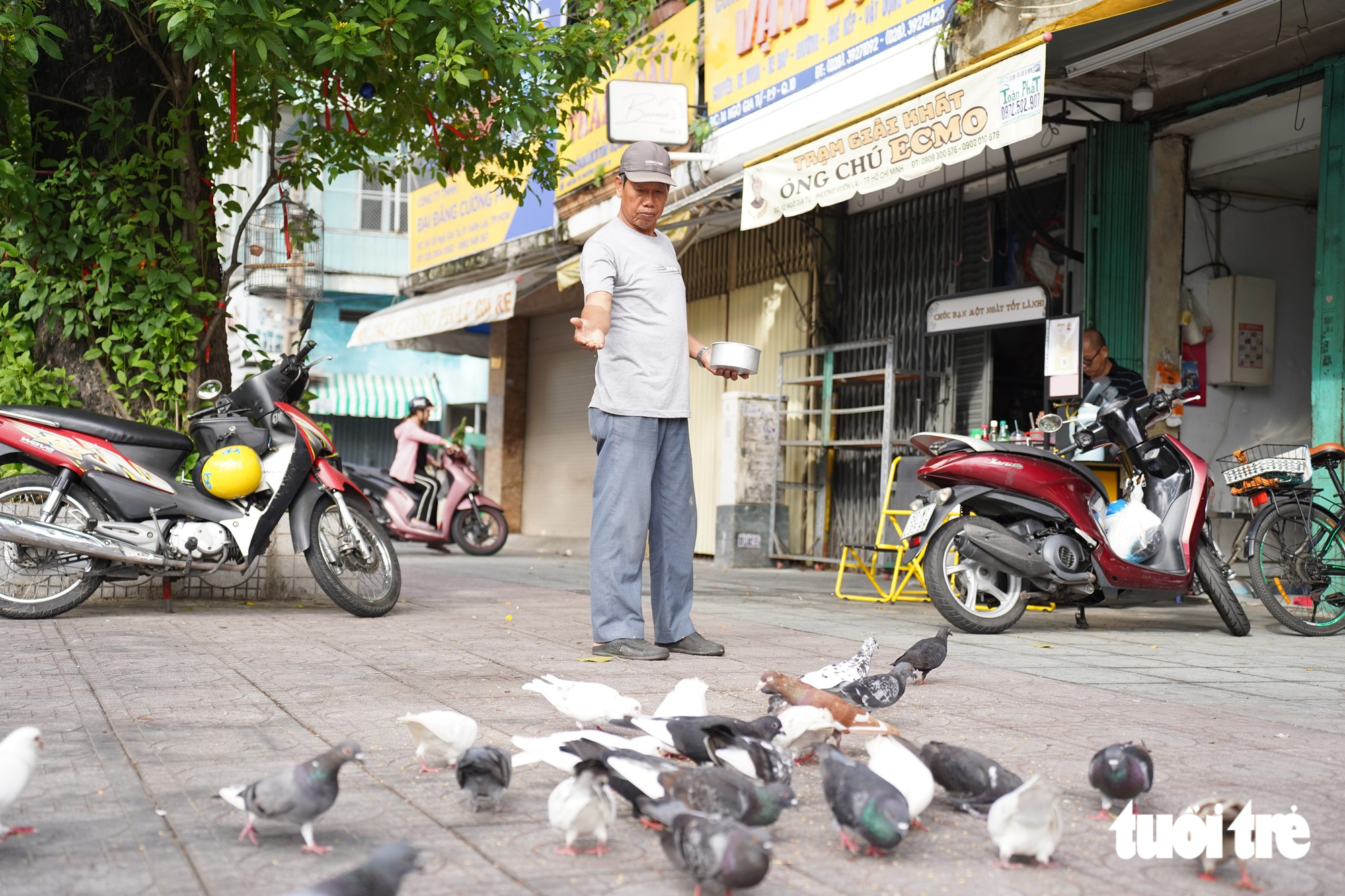 Người cựu binh hơn 30 năm ‘đãi tiệc’ đàn bồ câu giữa lòng TP.HCM - Ảnh 2.