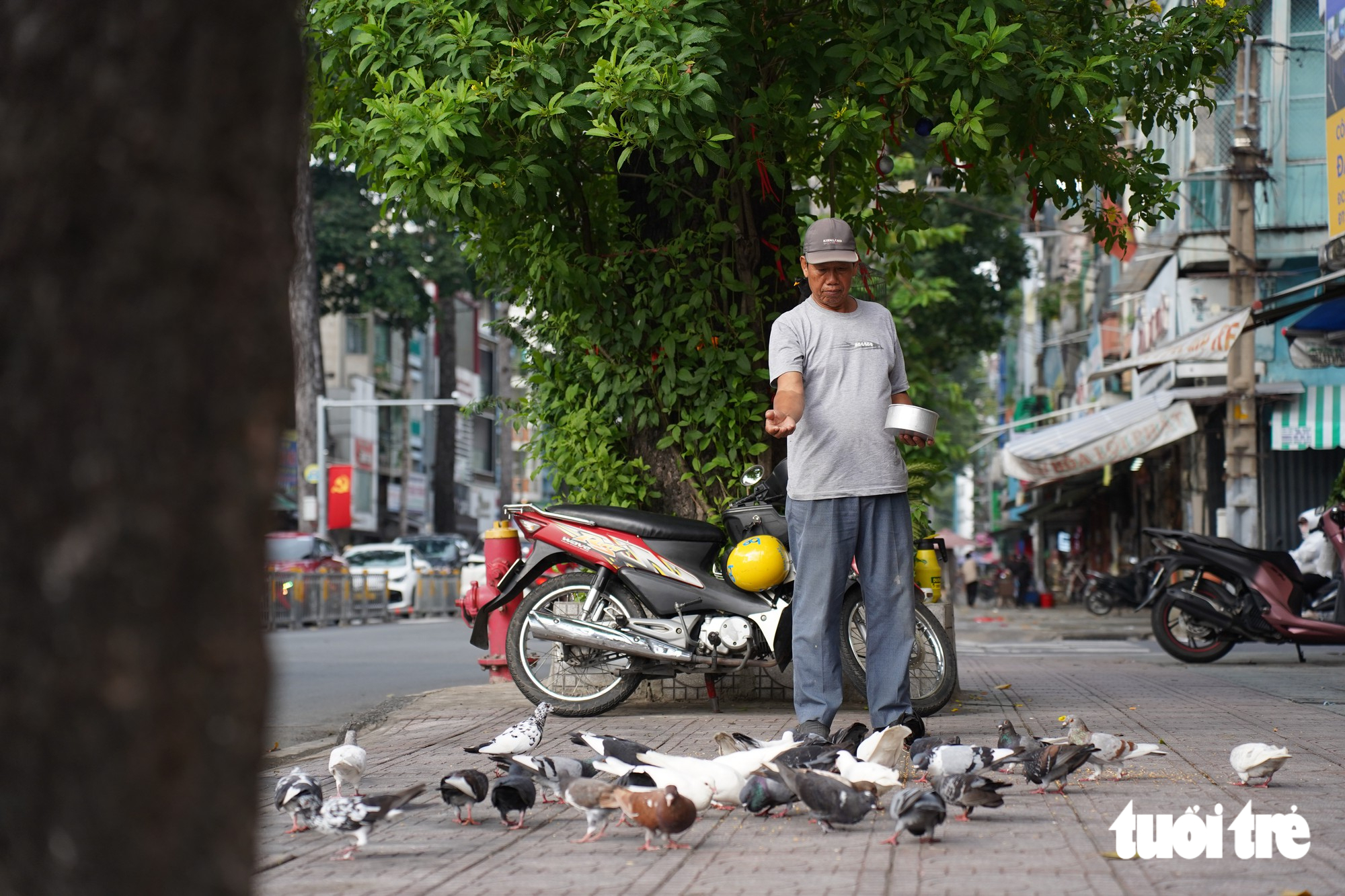 Người cựu binh hơn 30 năm ‘đãi tiệc’ đàn bồ câu giữa lòng TP.HCM - Ảnh 7.