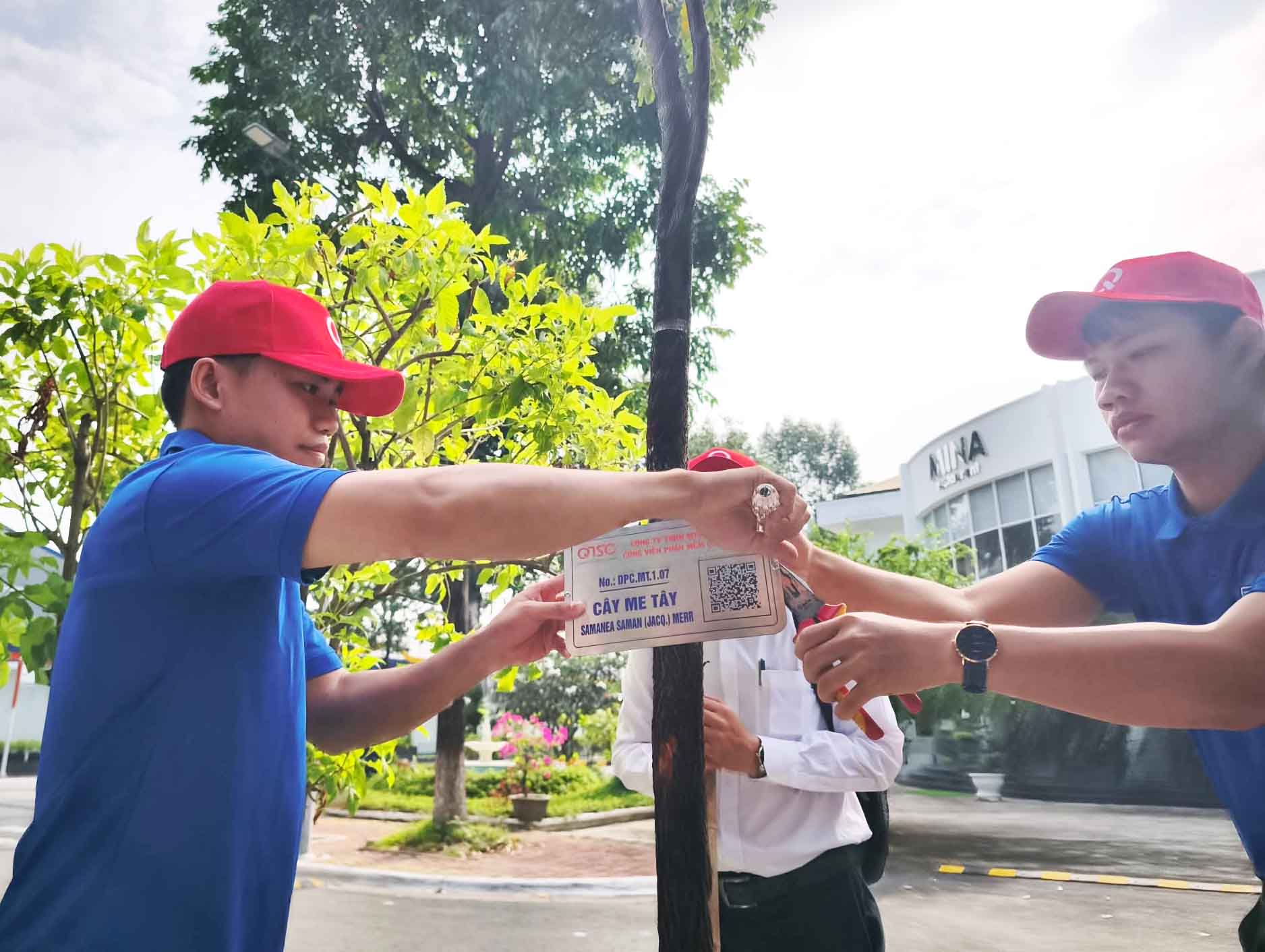 Gắn mã QR cho cây xanh tại QTSC năm 2026 , nâng cao quản lý và bảo vệ môi trường - Ảnh 1.