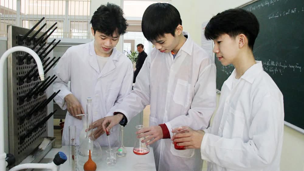 Liêm chính khoa học từ cuộc thi trung học cơ sở - Ảnh 1.