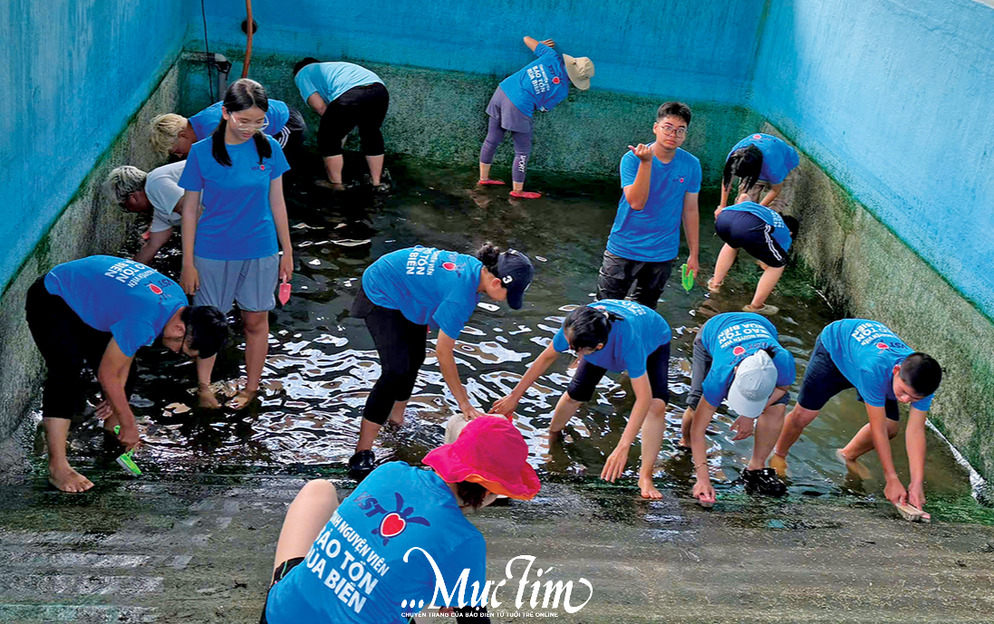 Tập l&agrave;m c&ocirc; gi&aacute;o v&agrave; bảo vệ m&ocirc;i trường biển - Ảnh 5.