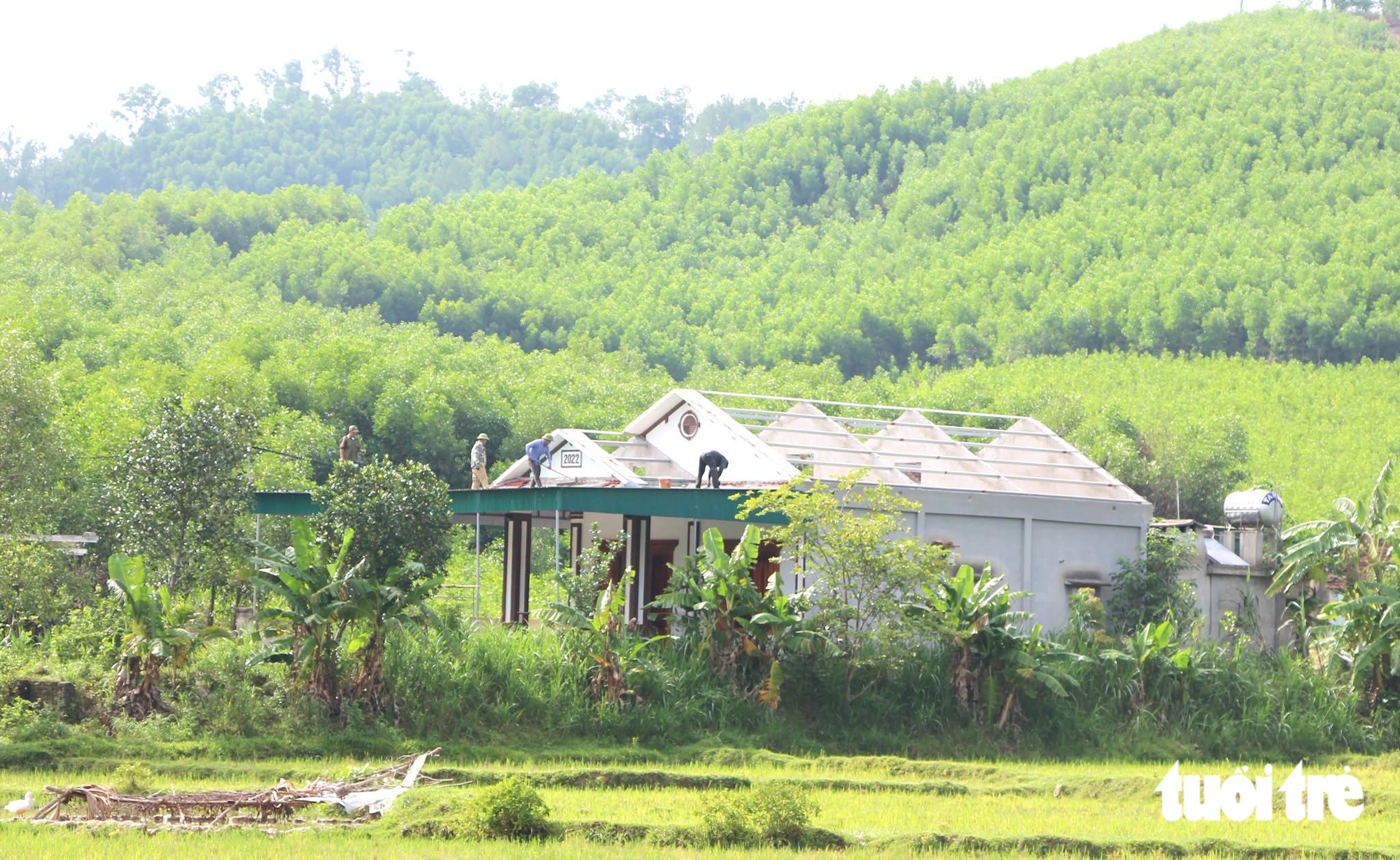 Người dân dỡ nhà, dời mồ mả bàn giao mặt bằng làm cao tốc gần 24.000 tỉ đồng - Ảnh 3.