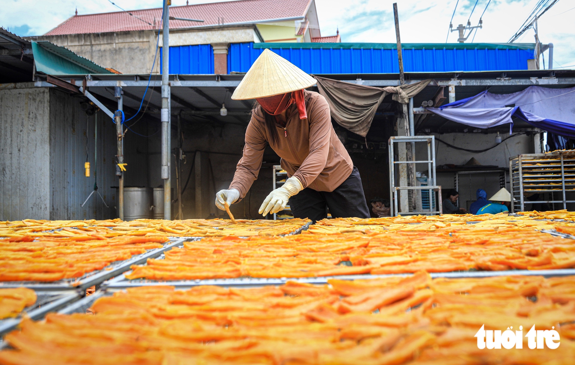 Bí mật phía sau những lát khoai deo dẻo ngọt nổi tiếng Quảng Bình - Ảnh 2.