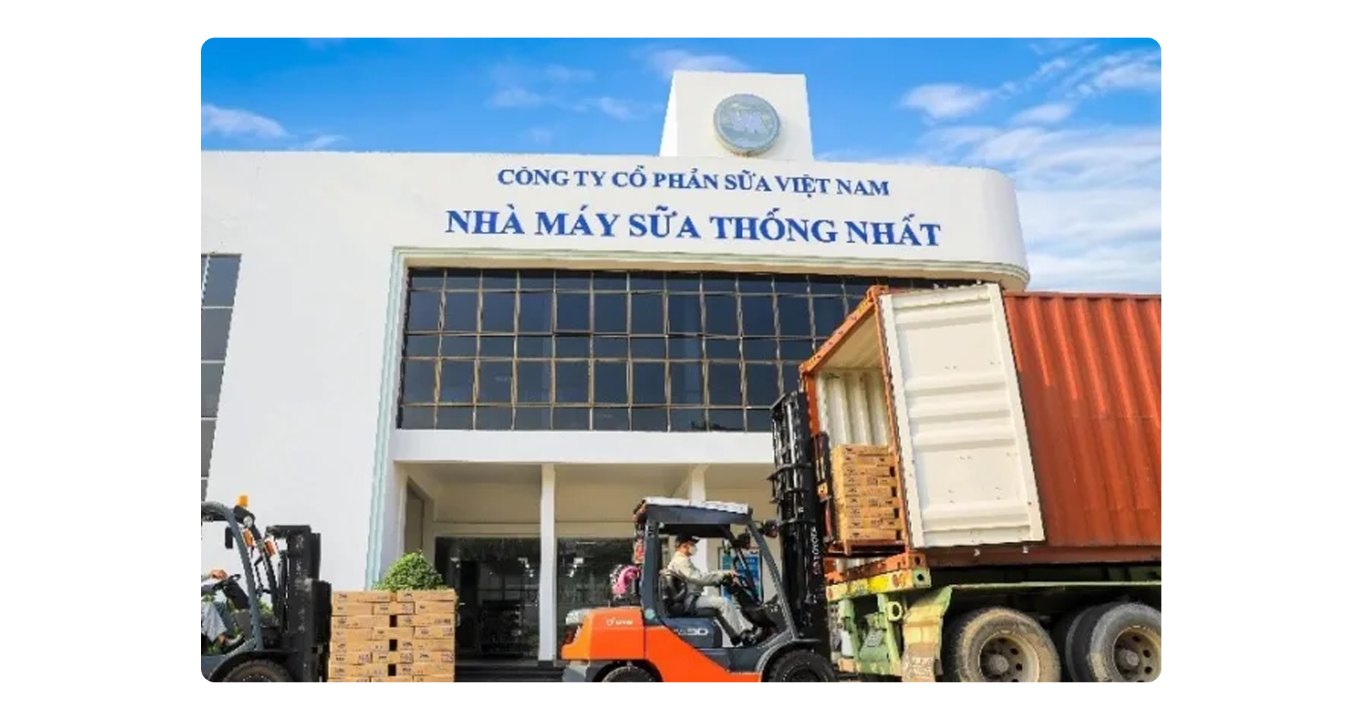 50 năm Vinamilk đi cùng người Việt, vươn ra thế giới - Ảnh 2.