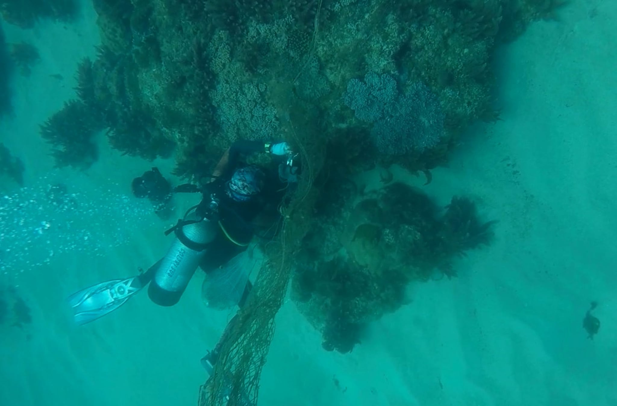Conservationists, fishermen dive to remove ‘ghost nets’ off central Vietnam island - Ảnh 4.