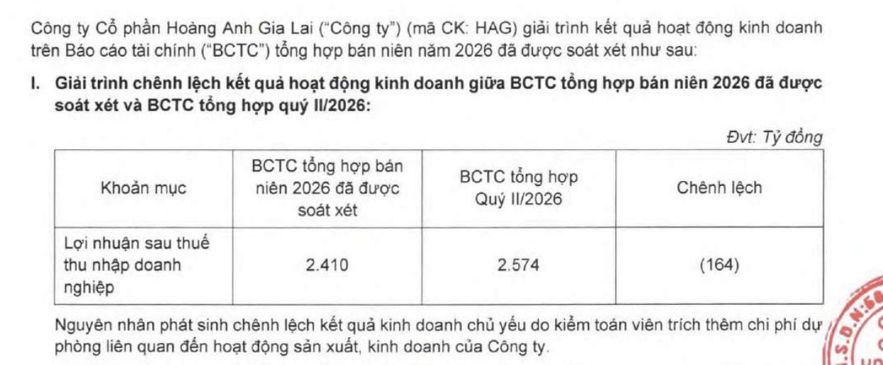 Hoàng Anh Gia Lai của bầu Đức giảm 164 tỉ đồng lợi nhuận sau kiểm toán  - Ảnh 2.