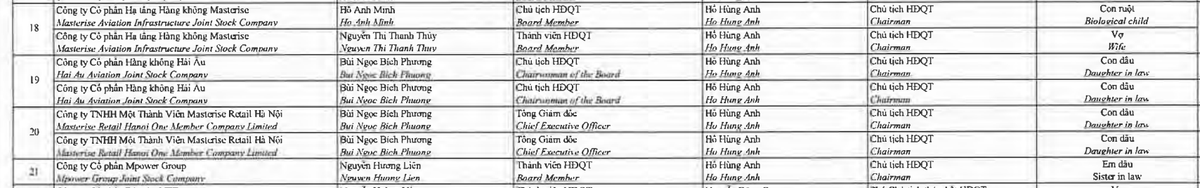 Con dâu Chủ tịch Techcombank làm Chủ tịch Hàng không Hải Âu - Ảnh 2.