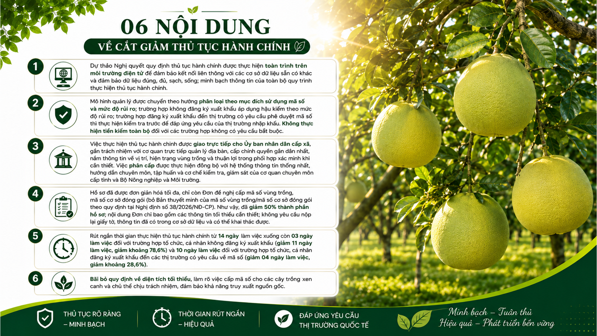 Trung Quốc, Mỹ phê duyệt mã số vùng trồng nông sản, sầu riêng, thời gian phụ thuộc vào nước nhập khẩu - Ảnh 2.