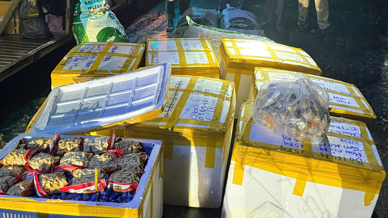 Hơn 800kg cá viên, bò viên không rõ nguồn gốc trong khoang hành lý xe khách - Ảnh 2.