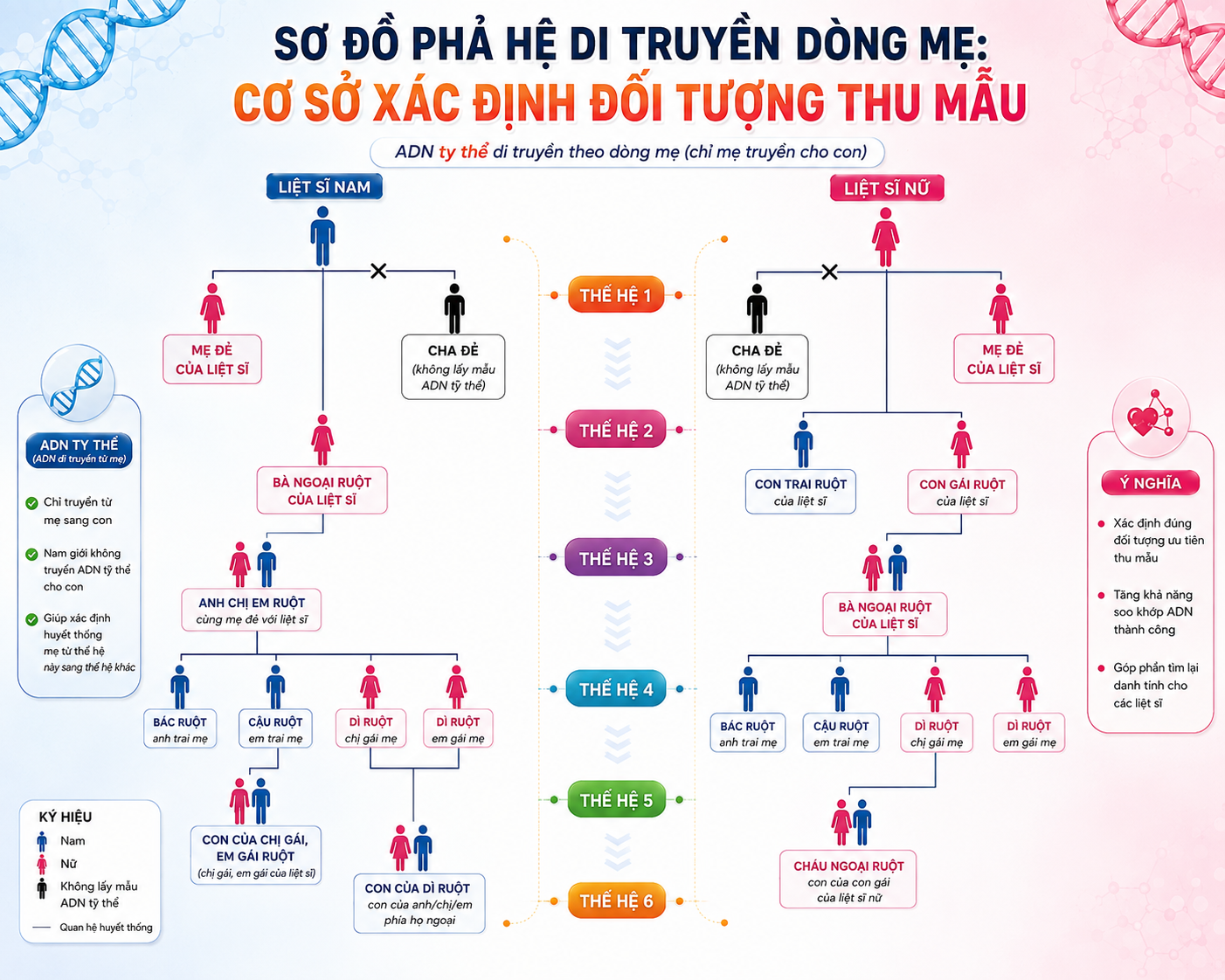 Vì sao xác định ADN liệt sĩ lại lấy mẫu con em gái ruột thay vì con ruột? - Ảnh 1.