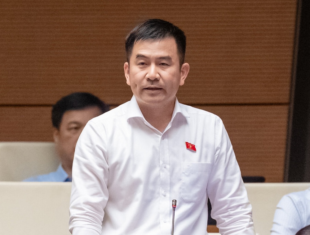 Từ hiện tượng 'giang hồ mạng', đại biểu Quốc hội hỏi về trách nhiệm các nền tảng, mạng xã hội - Ảnh 1.