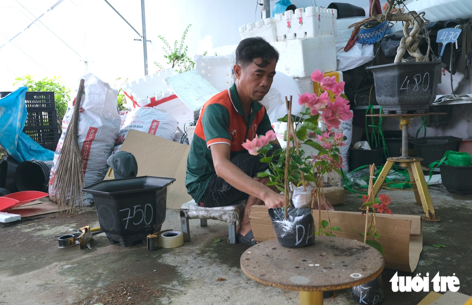 Kinh tế số giúp nông dân làng hoa 'xóa' tư duy mùa vụ - Ảnh 2.