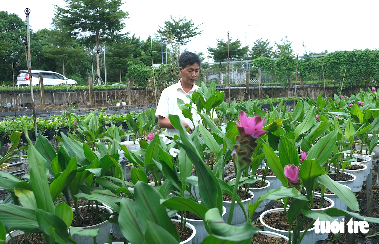 Kinh tế số giúp nông dân làng hoa 'xóa' tư duy mùa vụ - Ảnh 3.