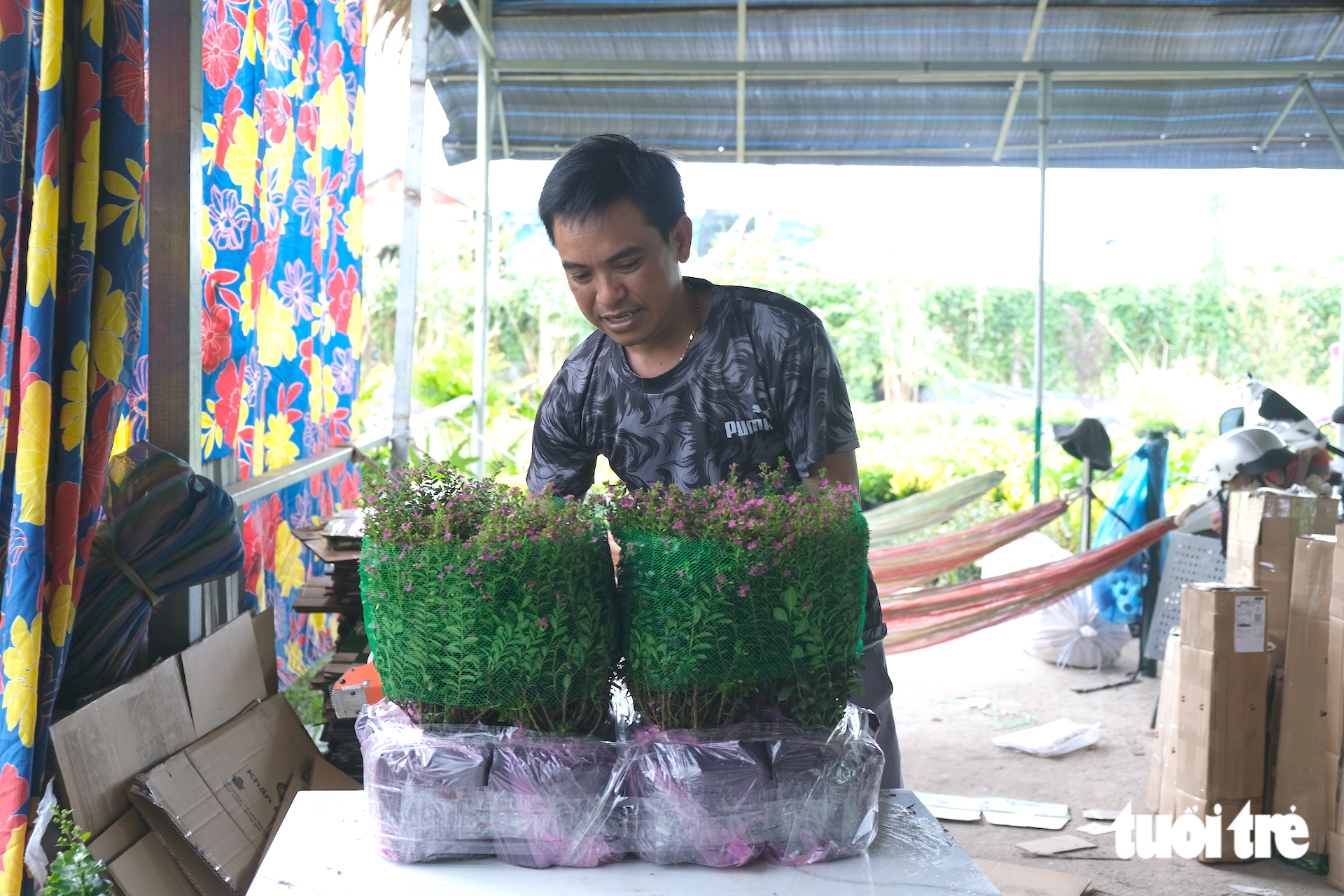 Kinh tế số giúp nông dân làng hoa 'xóa' tư duy mùa vụ - Ảnh 6.