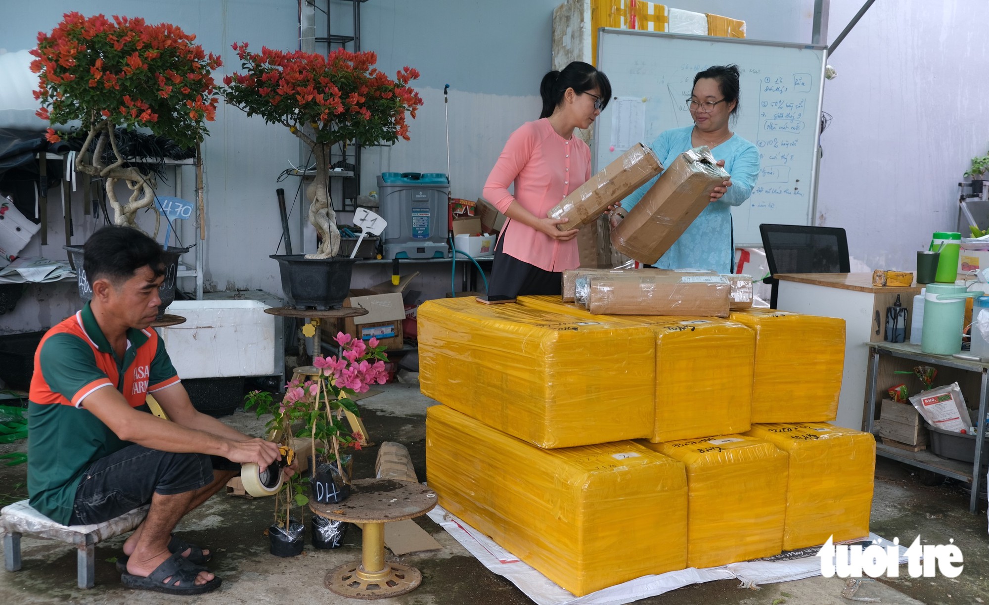 Kinh tế số giúp nông dân làng hoa 'xóa' tư duy mùa vụ - Ảnh 7.