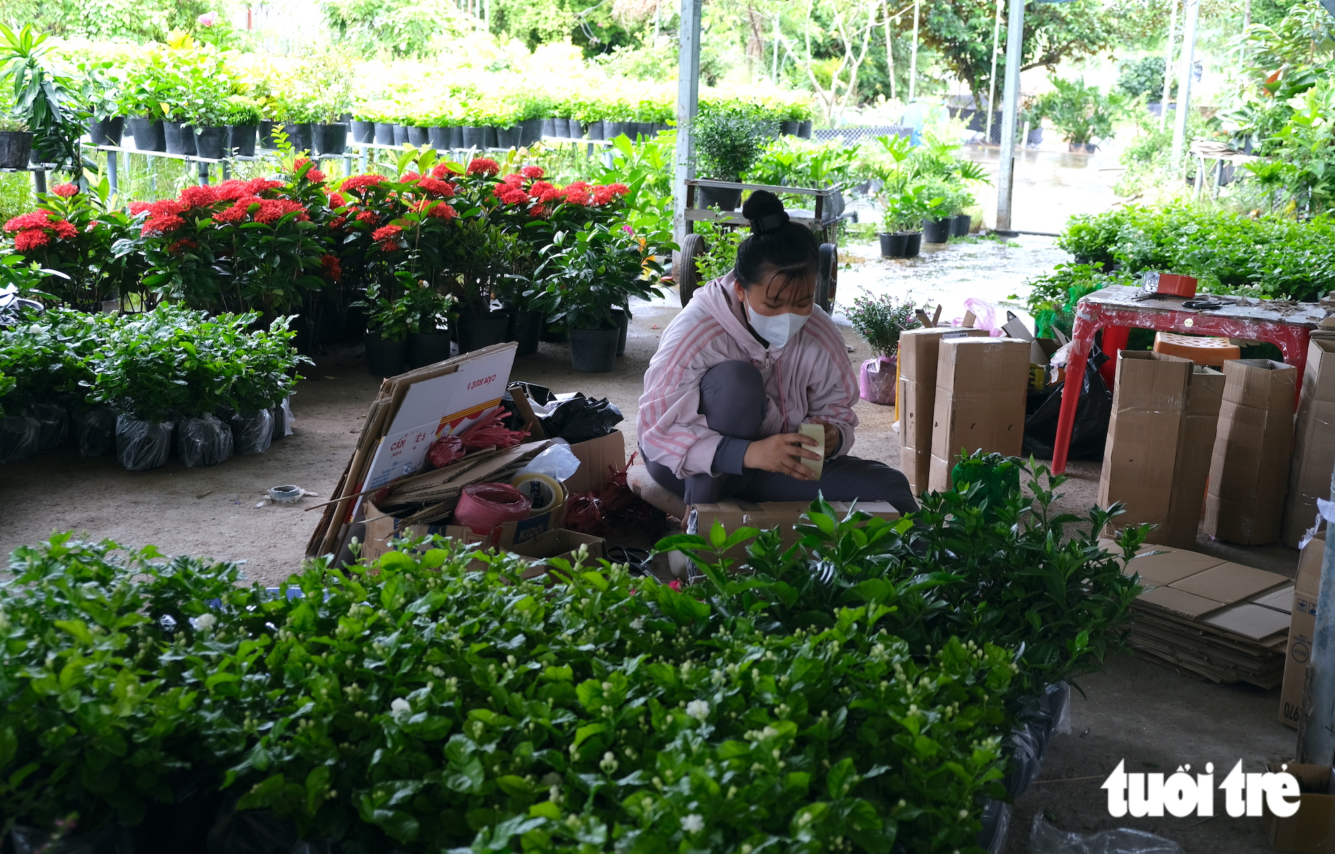 Kinh tế số giúp nông dân làng hoa 'xóa' tư duy mùa vụ - Ảnh 9.