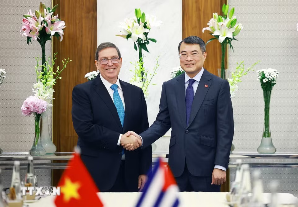 Việt Nam sẵn sàng làm hết sức mình trong khả năng để hỗ trợ Cuba - Ảnh 2.