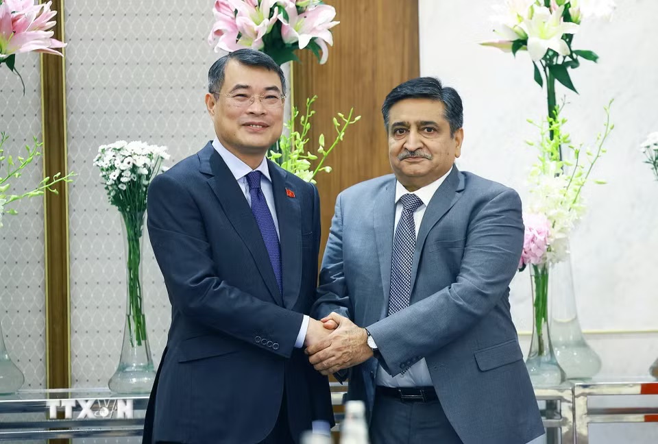 Doanh nghiệp Ấn Độ muốn tham gia phát triển hạ tầng hàng không, năng lượng sạch ở Việt Nam - Ảnh 2.