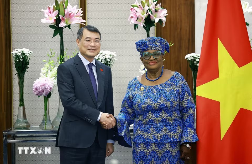 Doanh nghiệp Ấn Độ muốn tham gia phát triển hạ tầng hàng không, năng lượng sạch ở Việt Nam - Ảnh 3.