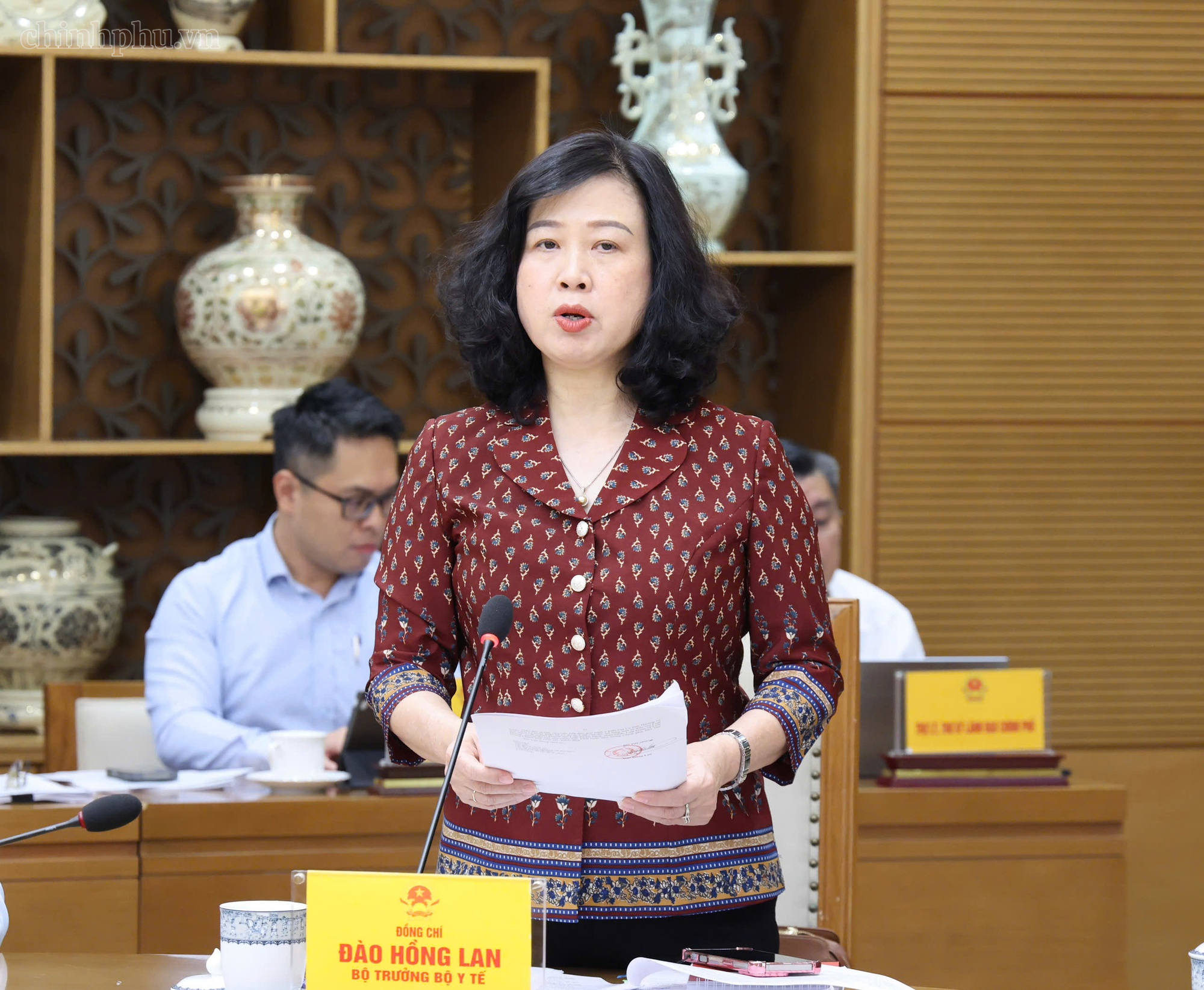 Phó Thủ tướng: Phải minh bạch giá, gảm trung gian trong mua sắm thiết bị y tế - Ảnh 2.