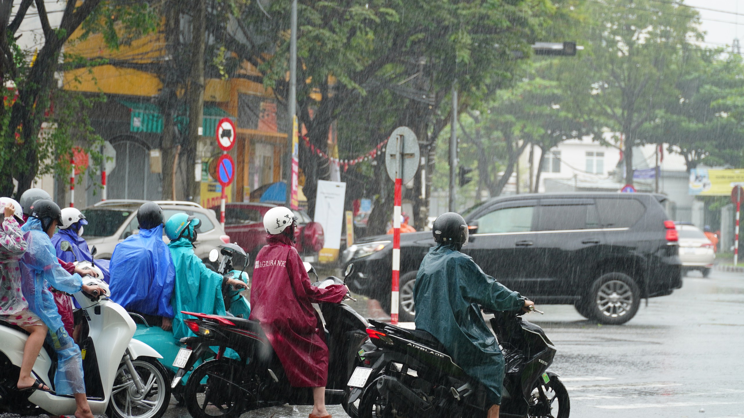 Áp thấp nhiệt đới vừa hình thành, Hà Tĩnh đến Quảng Ngãi đang mưa lớn - Ảnh 3.