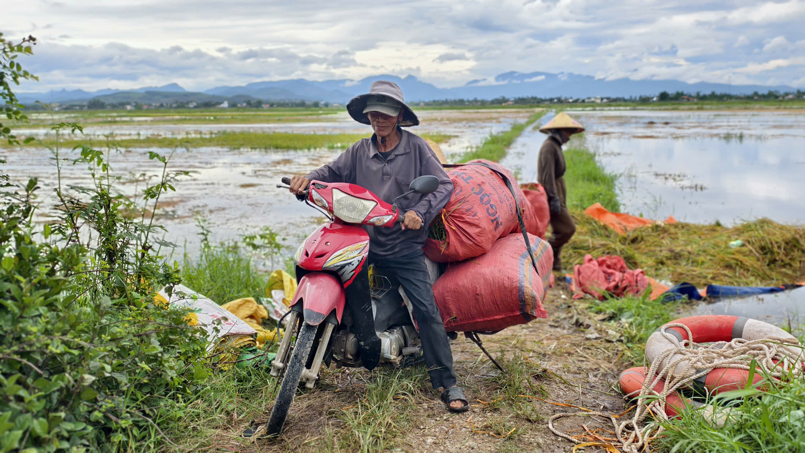 Lúa chín bị dìm trong nước lũ, dân dầm mình cả ngày... cứu lúa - Ảnh 7.